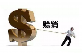 合肥企业清欠服务